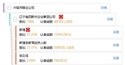 興城市銅業(yè)公司 引領(lǐng)區(qū)域銅業(yè)發(fā)展的創(chuàng)新力量