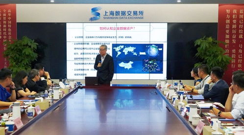 共探企業數據資產化戰略新方向 上海數交所數據咨詢服務商培訓會解讀